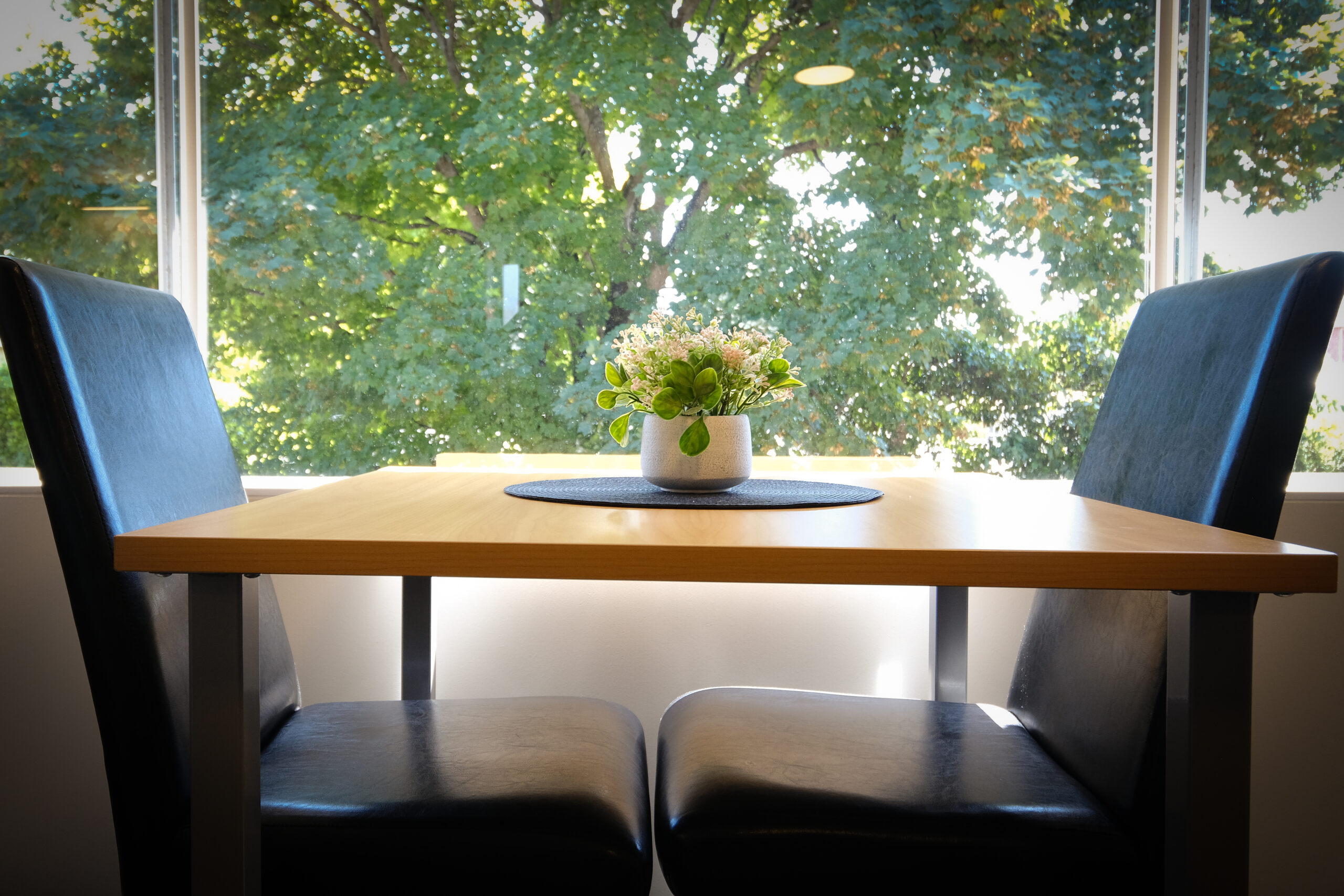 Unit 4 OneBedroom Apartment Golden Leaf Apartments